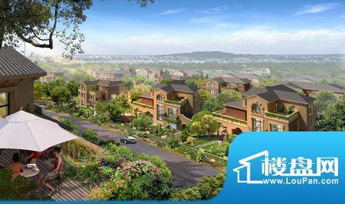 绿园山庄配套图