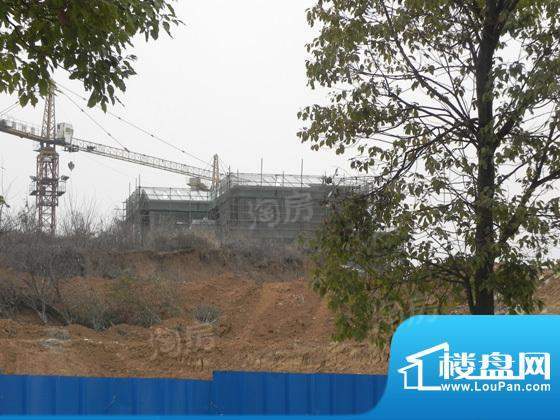 绿园山庄配套图