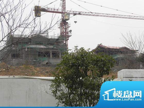 绿园山庄配套图