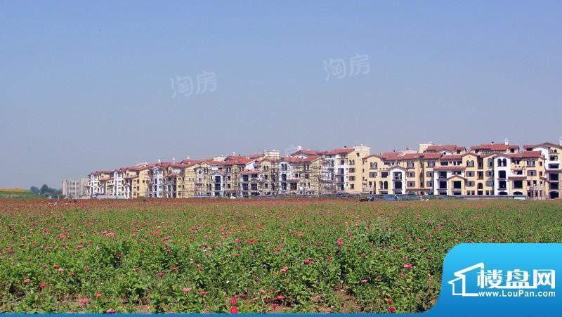 白鹭岛海屿墅配套图