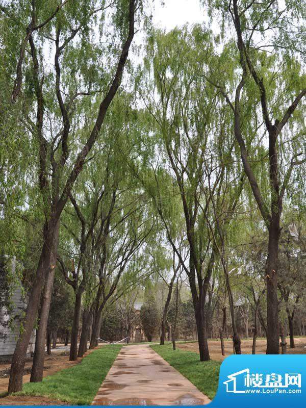 保利海公园配套图