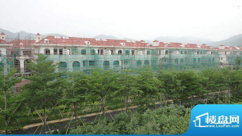 合生滨海城配套图