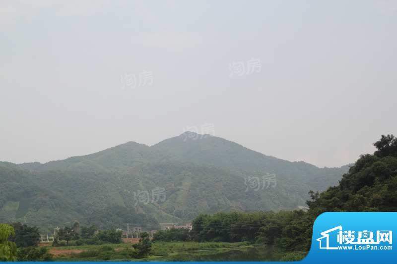 富力南昆山温泉养生谷配套图