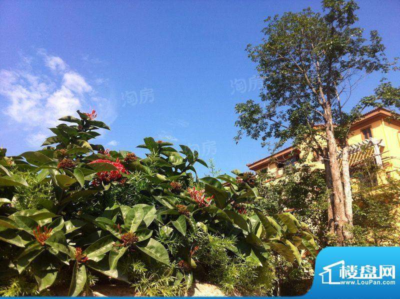 皇庭波西塔诺配套图