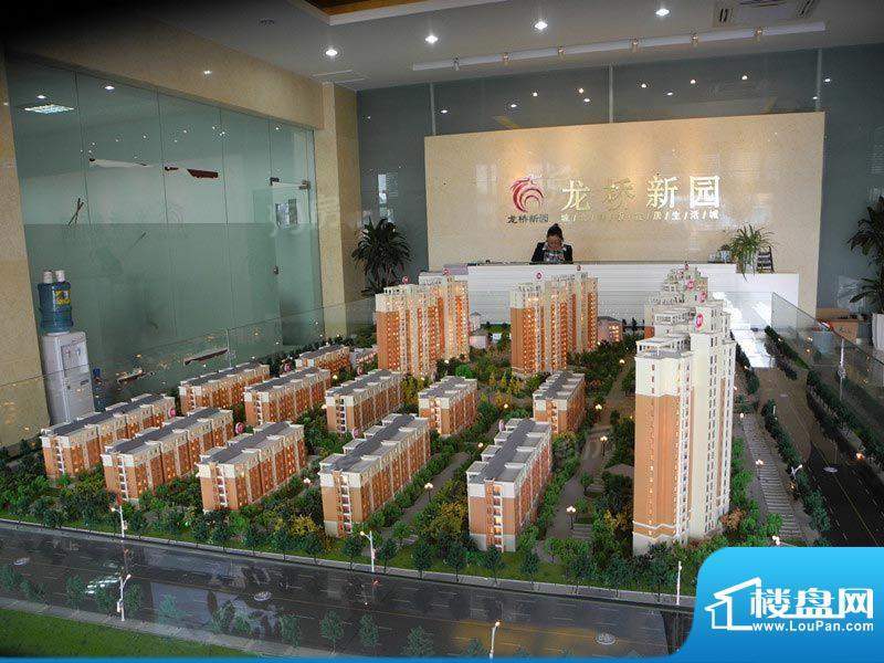 龙桥新园配套图