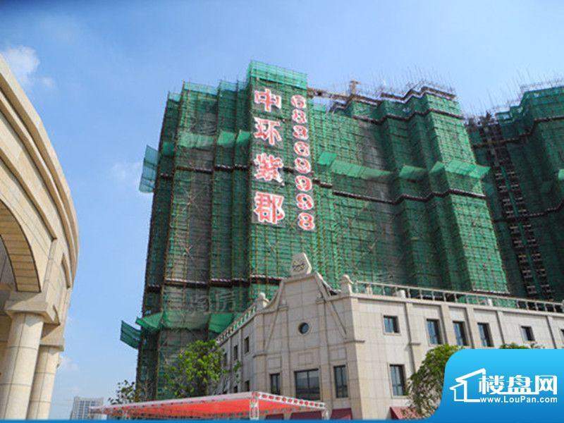 中环紫郡配套图