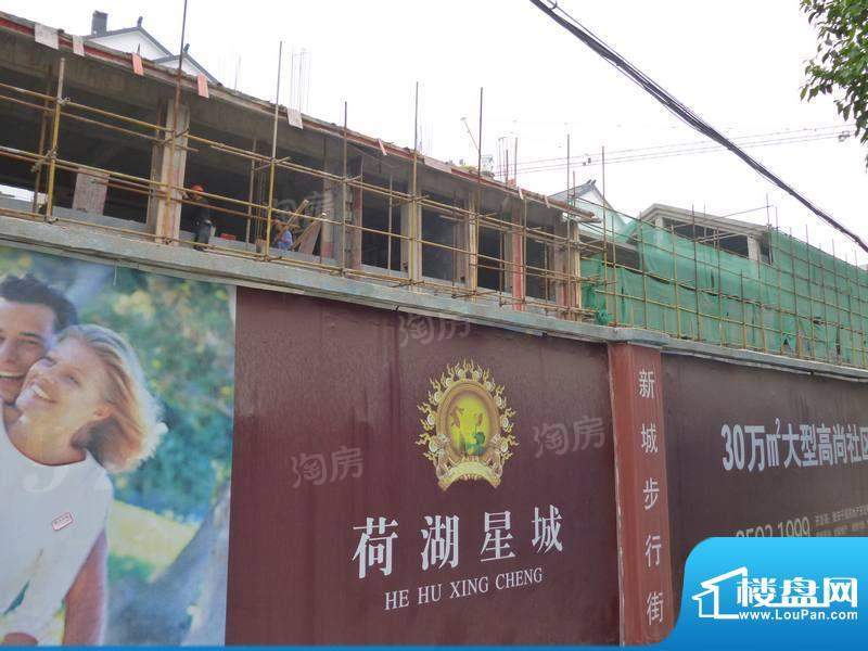 荷湖星城配套图