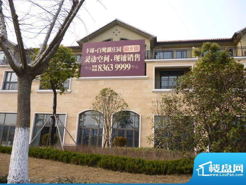 白鹭湖庄园配套图