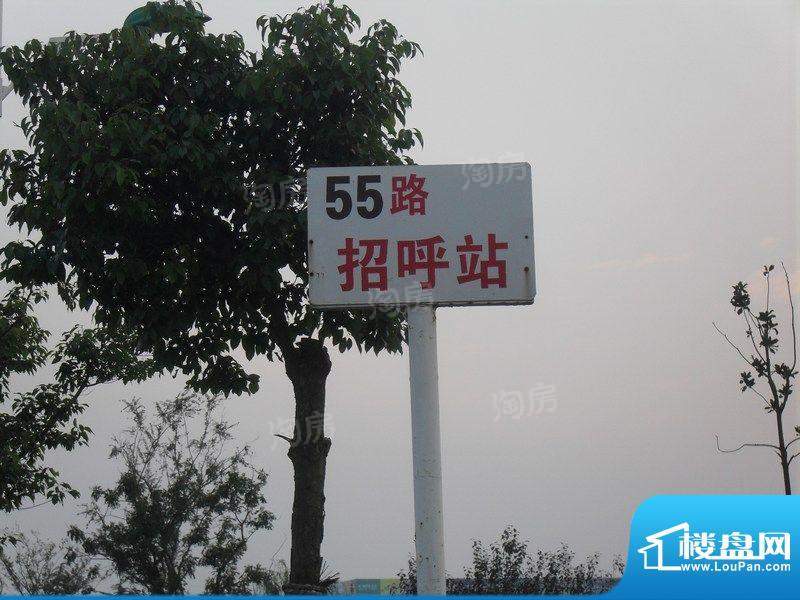 天生赢家配套图