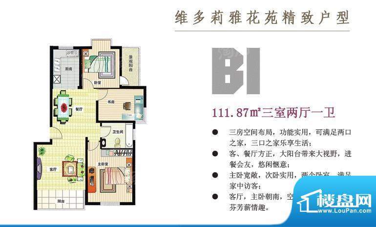 维多莉雅花苑B1户型面积:111.87平米
