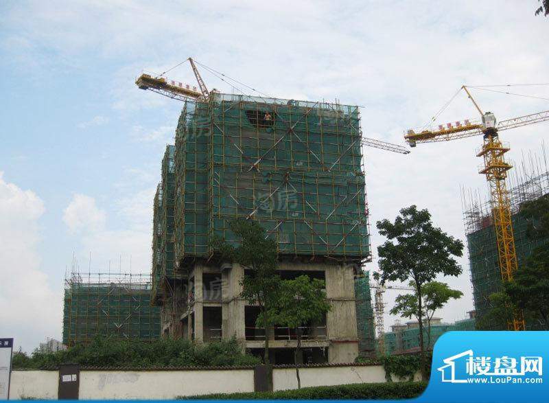 香格里拉花园配套图