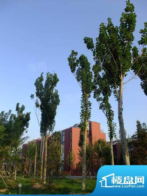阳光100城市丽园配套图