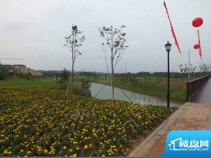 鼎恒伴山配套图