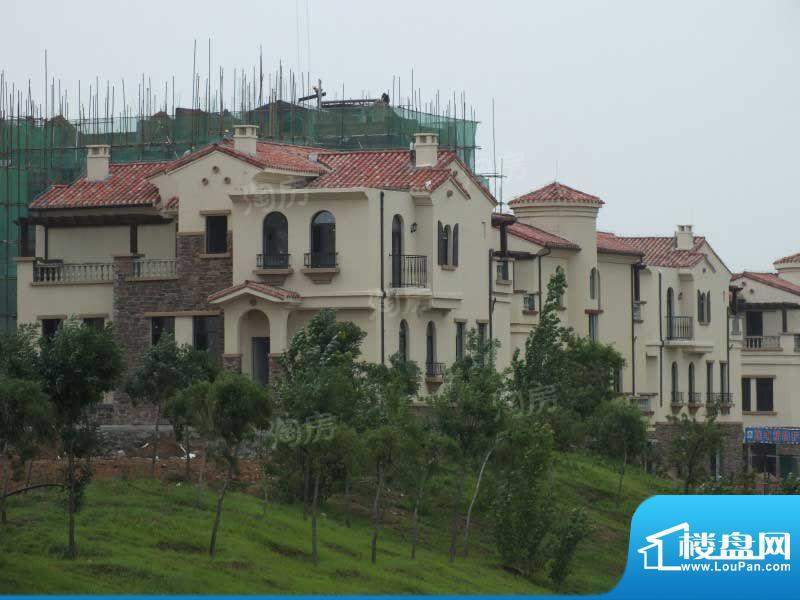 鼎恒伴山配套图