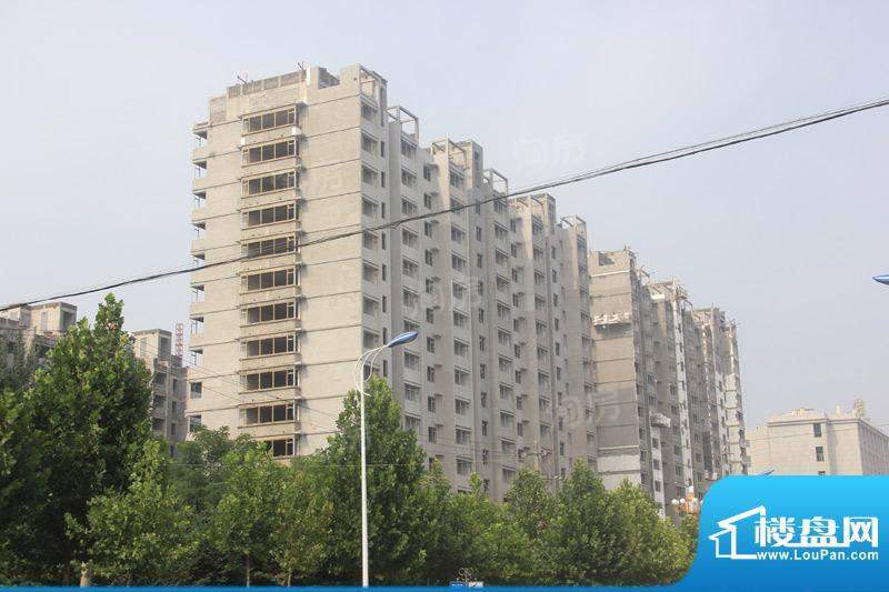 金色龙泉配套图