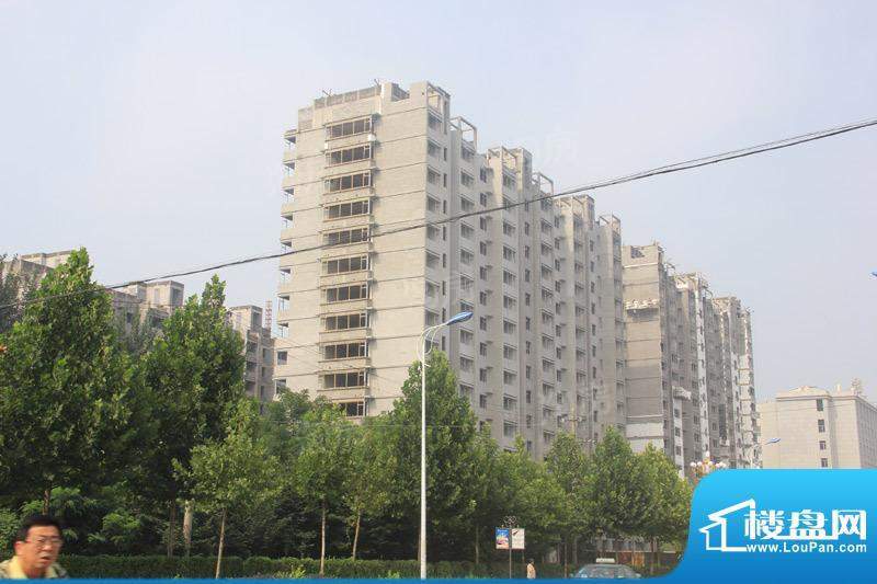 金色龙泉配套图