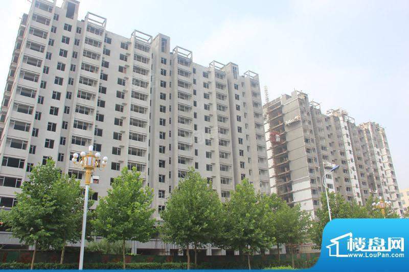 金色龙泉配套图