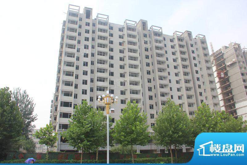 金色龙泉配套图