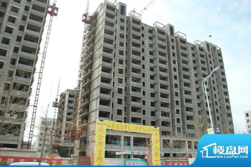 金色龙泉配套图