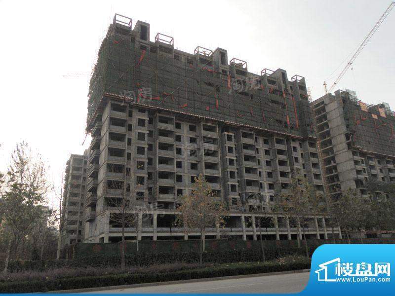 金色龙泉配套图