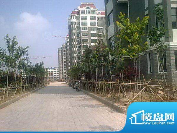 滨海北美枫情配套图