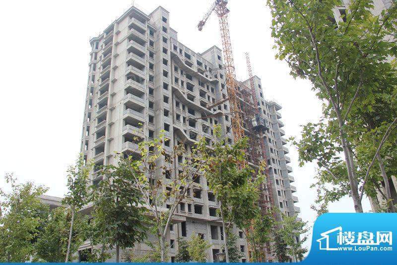 滨海北美枫情配套图