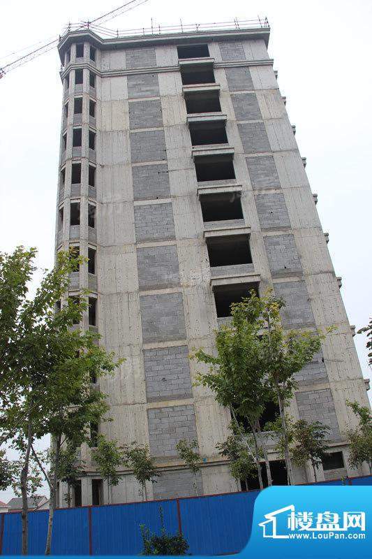 滨海北美枫情配套图