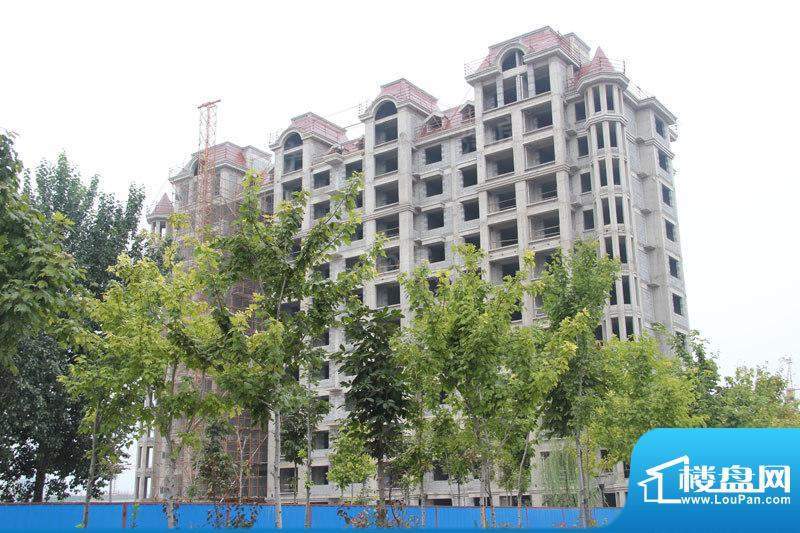 滨海北美枫情配套图