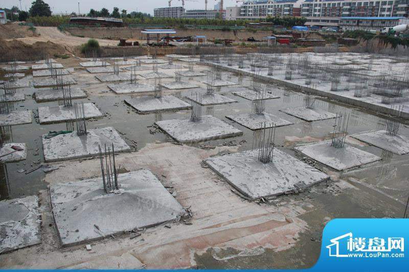 滨海北美枫情配套图