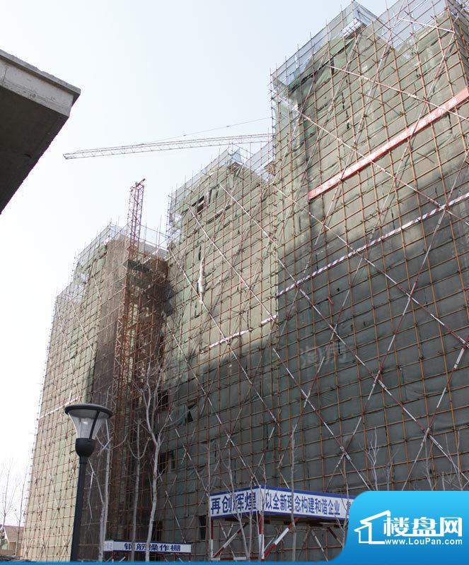 滨海北美枫情配套图