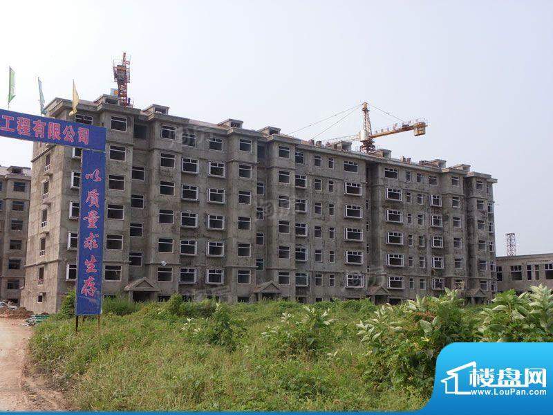 柏丽花园配套图