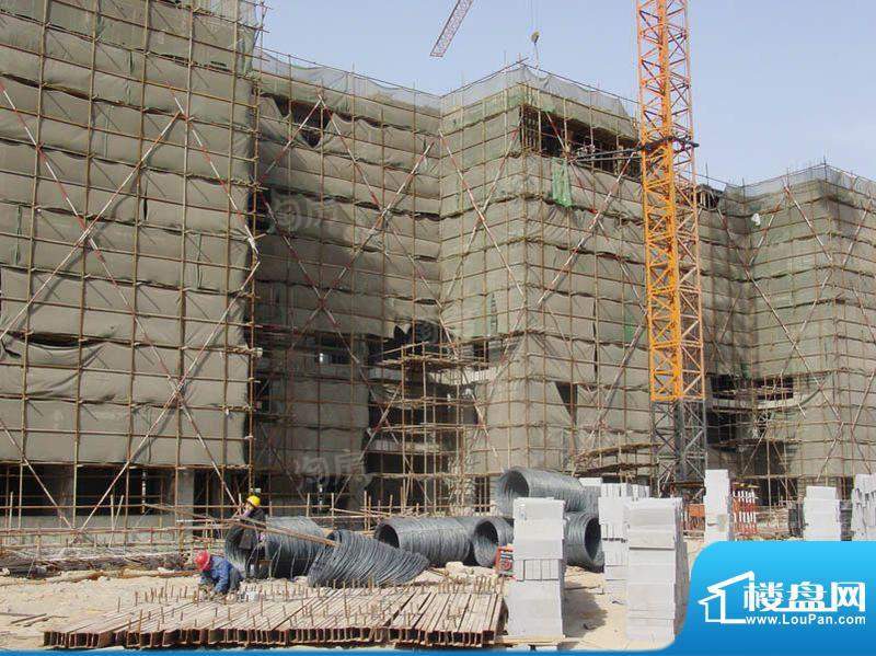 丽水芳洲配套图