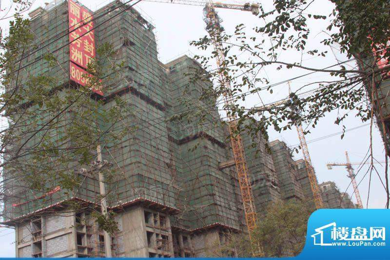 丽水芳洲配套图