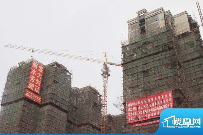 丽水芳洲配套图