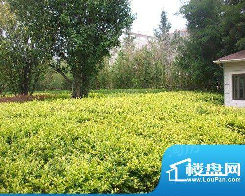 学府嘉苑配套图