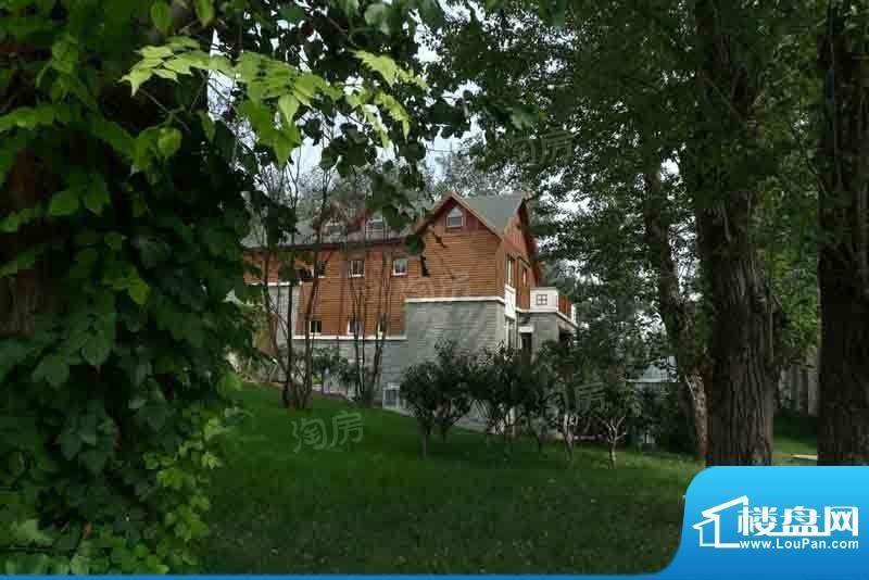 温哥华森林配套图