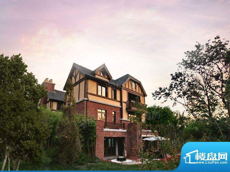 温哥华森林配套图