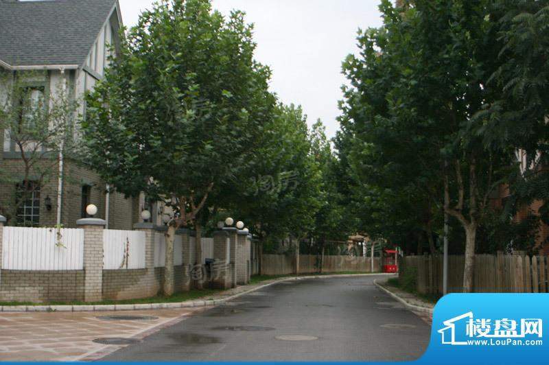 温哥华森林配套图