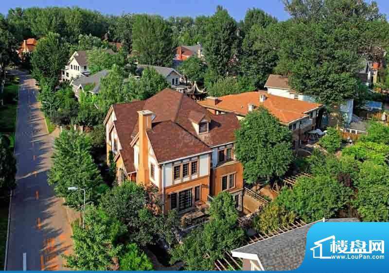 温哥华森林配套图