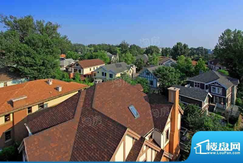 温哥华森林配套图