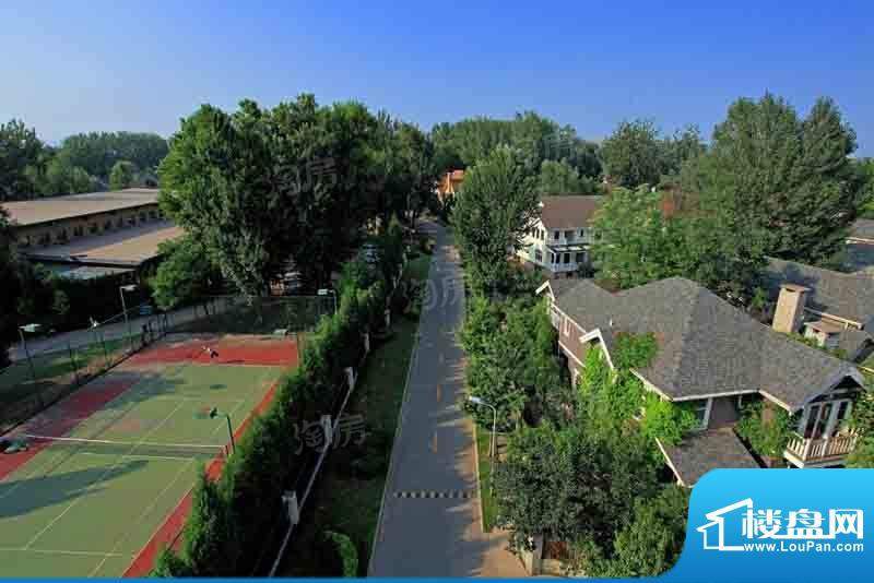 温哥华森林配套图