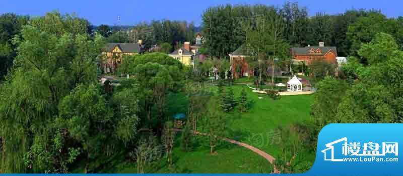 温哥华森林配套图