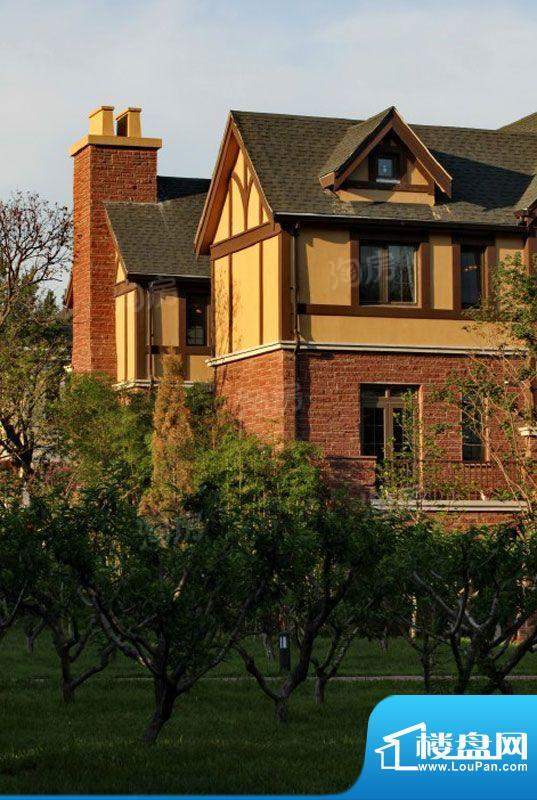 温哥华森林配套图