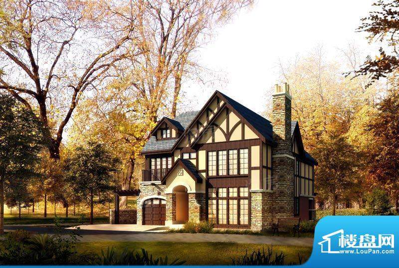 温哥华森林配套图