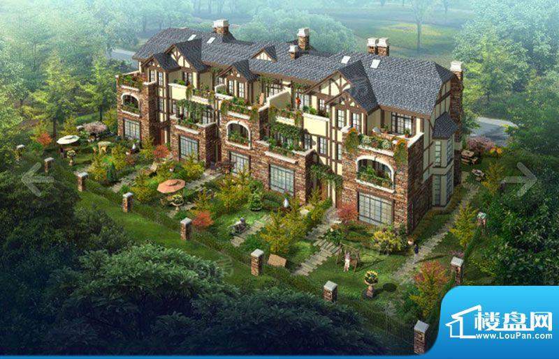 温哥华森林配套图