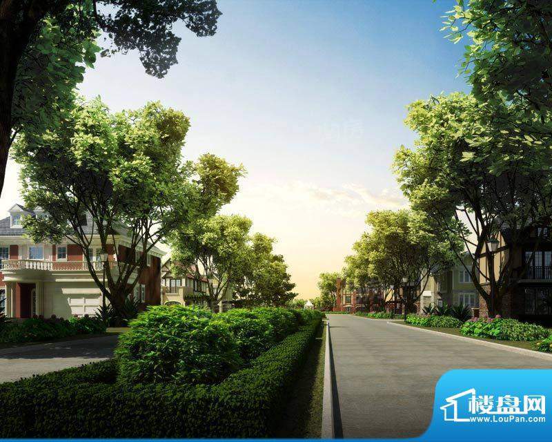 温哥华森林配套图