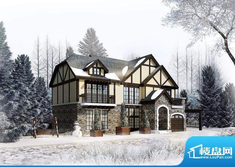 温哥华森林配套图