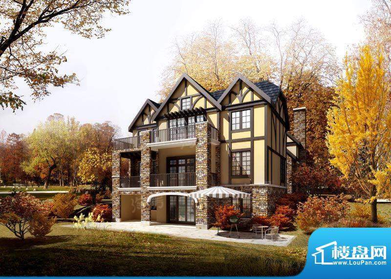 温哥华森林配套图