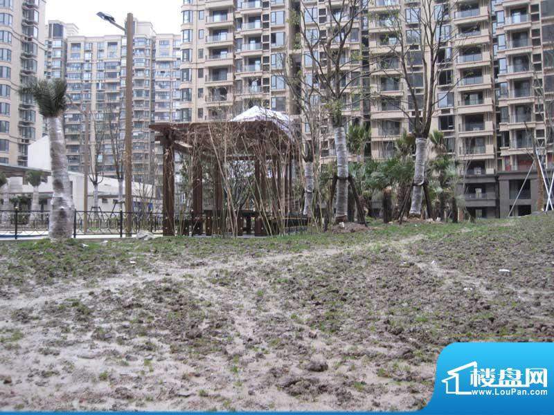 和欣国际花园配套图