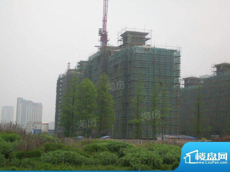 兴东佳苑配套图